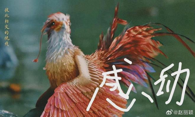 赵丽颖又打错字了！屡屡陷入文盲争议，网友抨击：文化决定上限