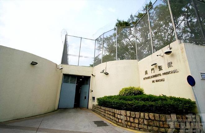 洗米华被关3年，Mandy刘碧丽做环保事业，8亿身价超过洗米嫂