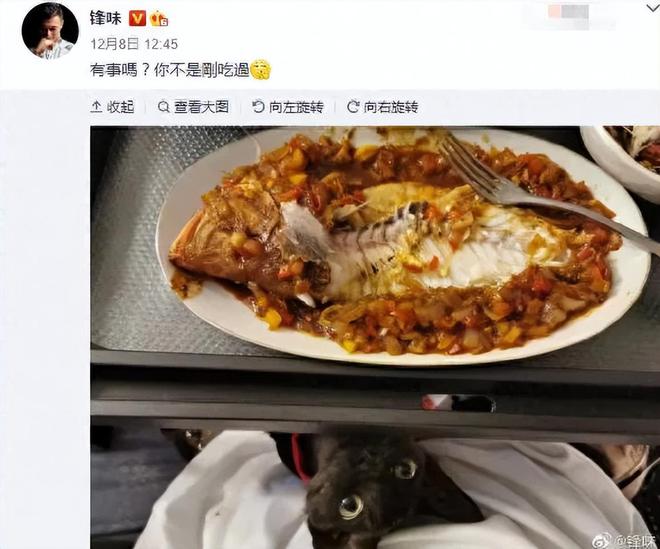 谢霆锋和张柏芝的“情感纠葛”，是该聊聊了