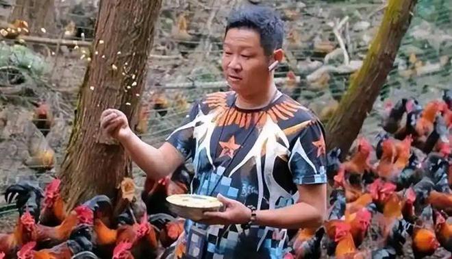 三德子卖鸡翻车？土鸡商标玩梗被识破，耍小聪明能红多久？