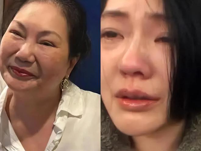 S妈难以走出悲痛，心疼到无法呼吸送急诊，小S女儿却忙着接手资源