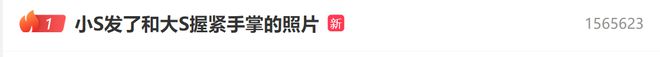 大S遗产遭侵占败露了？小S联合蔡康永紧急掩盖，光头真是赢麻了