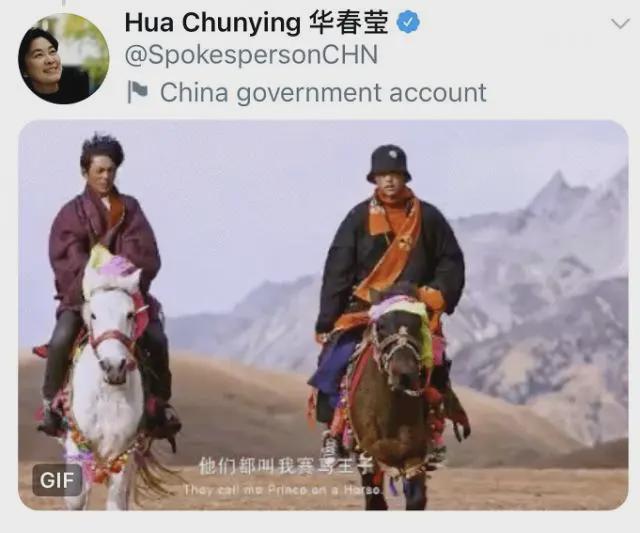 华春莹：你好呀，丁真