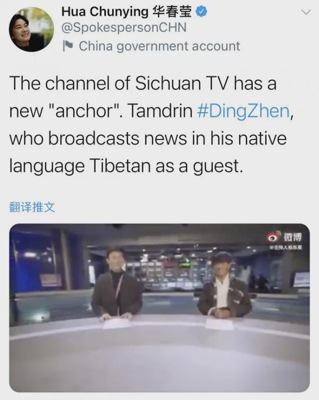 华春莹：你好呀，丁真