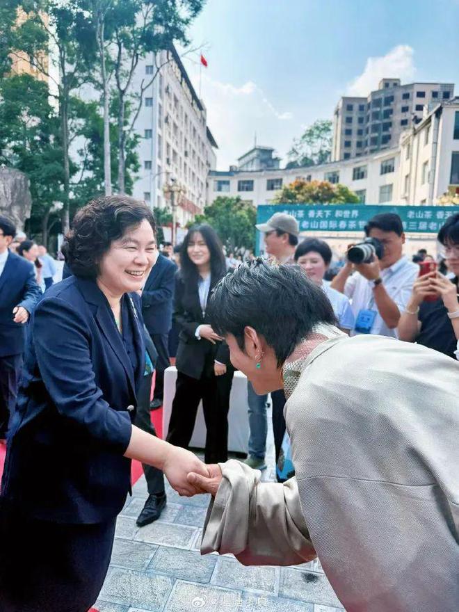 华春莹：你好呀，丁真