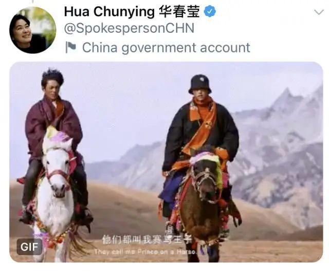 华春莹：你好呀，丁真