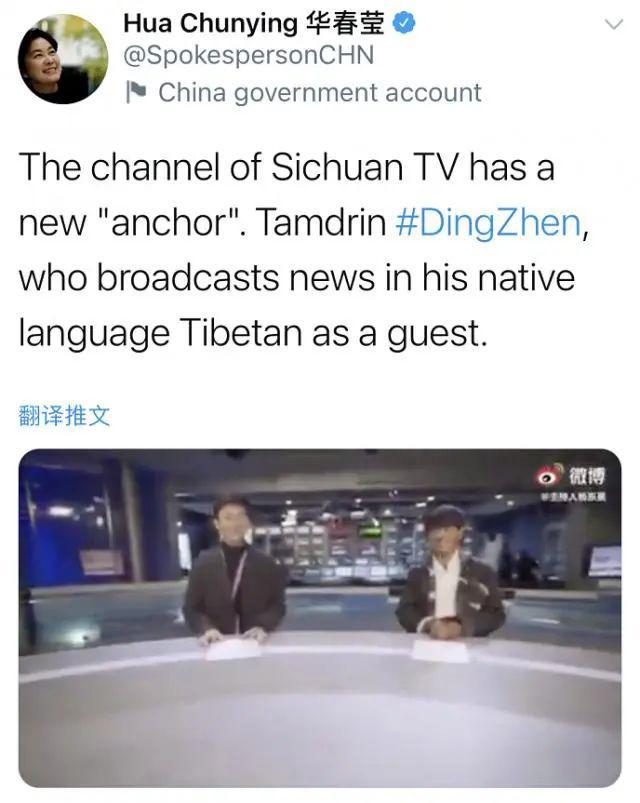 华春莹：你好呀，丁真