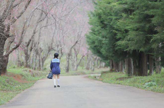 还记得被“禁止整容”的小芈月吗？2岁出道年入百万，当红时退圈，如今15岁的她怎样了？