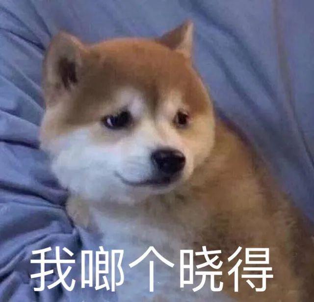 E句话 | 四字的事业运真的慕了…