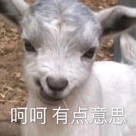 E句话 | 四字的事业运真的慕了…