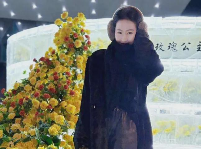 明星花式庆母亲节：钟丽缇携三女拍母女大片，刘亦菲陪妈妈看舞剧