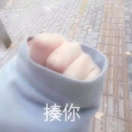 E句话 | 陈豪养家压力大到秃顶？