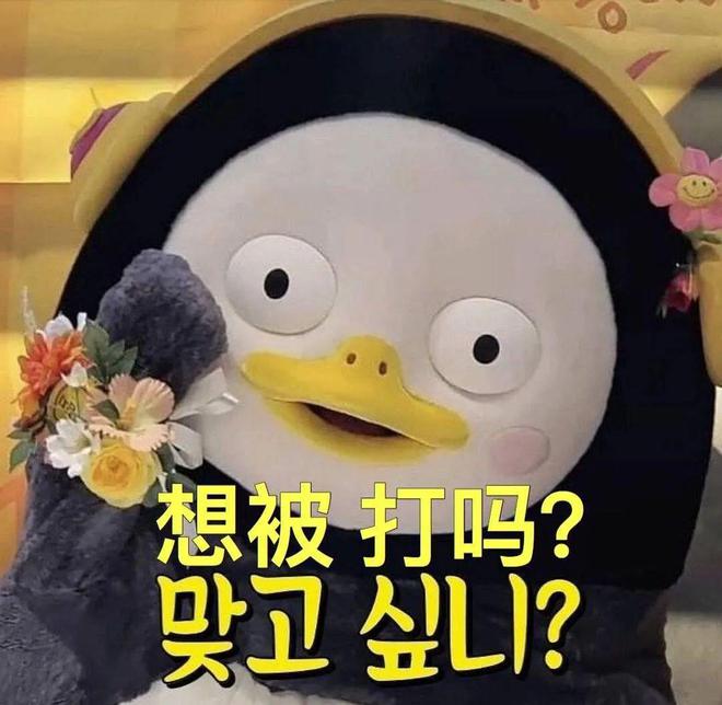 E句话 | 陈豪养家压力大到秃顶？