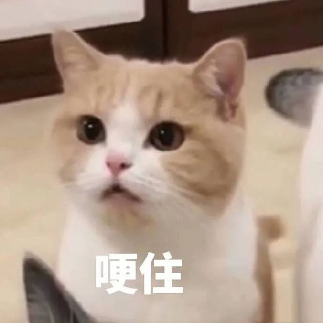 E句话 |黄晓明金世佳申请读博，内娱开始卷学历了？