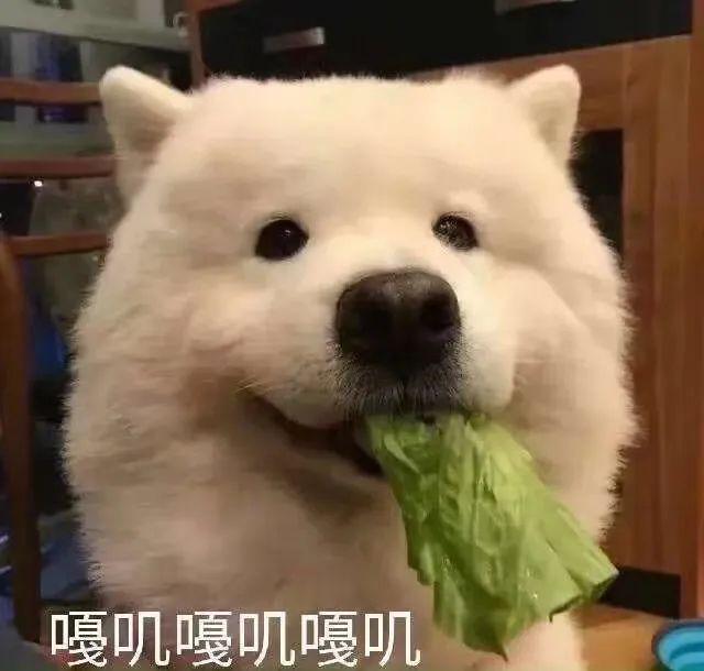 E句话 |黄晓明金世佳申请读博，内娱开始卷学历了？