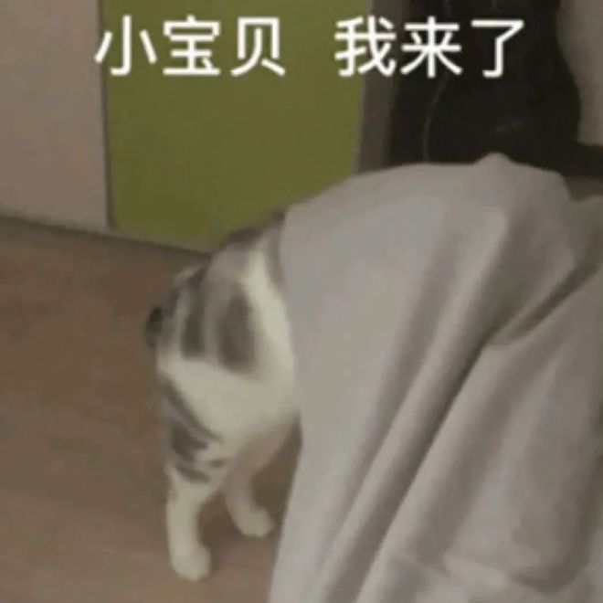 E句话 |黄晓明金世佳申请读博，内娱开始卷学历了？