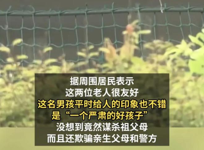 E句话 |黄晓明金世佳申请读博，内娱开始卷学历了？