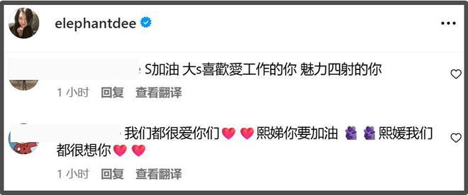 大S遗产丢失终于发酵了！小S评论区沦陷，网友喊话还给大S子女