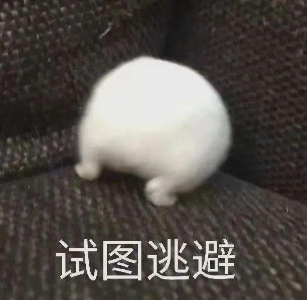 E句话 | 18岁成人礼，她的耳环值230万？