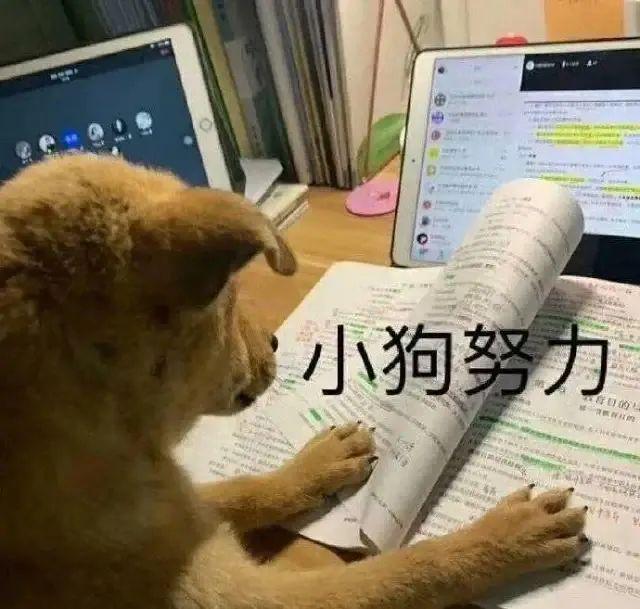 E句话 | 18岁成人礼，她的耳环值230万？