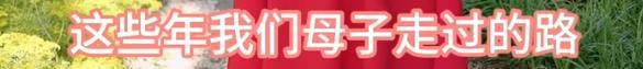 汪小菲大婚之日，S妈说前女婿要结婚了，可怜的孩子没了妈妈