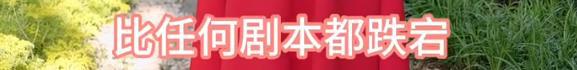 汪小菲大婚之日，S妈说前女婿要结婚了，可怜的孩子没了妈妈