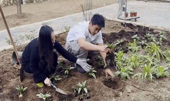 名利场||贾跃亭甘薇官宣离婚，霸总娇妻童话破灭，聊聊千亿市值后的煊赫旧事