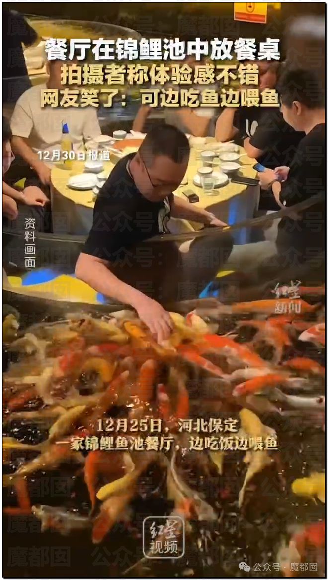 惊！黄杨钿甜百万耳环竟引发对一线顶流女星Y某家庭的质疑？