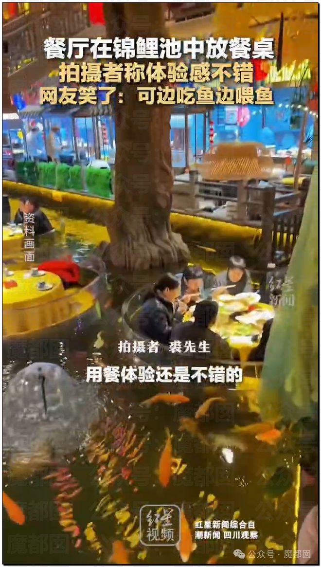 惊！黄杨钿甜百万耳环竟引发对一线顶流女星Y某家庭的质疑？
