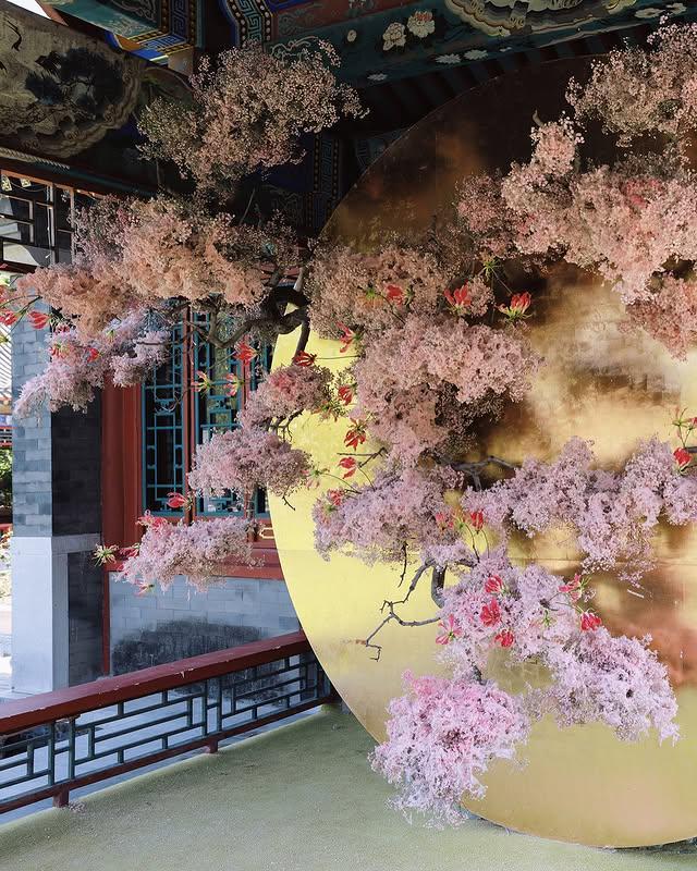 马筱梅分享婚礼高清图：至亲挚友们的相聚，一场华彩游园盛宴
