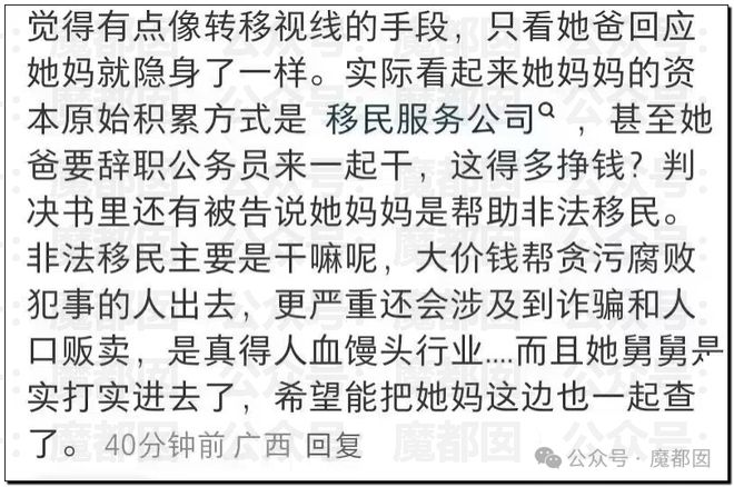 惊！黄杨钿甜百万耳环竟引发对一线顶流女星Y某家庭的质疑？