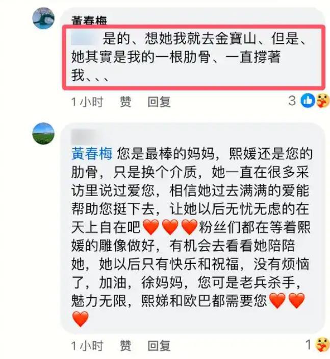 汪小菲结婚第二天，S妈透露大S雕像进度，称赞具俊晔重情重义