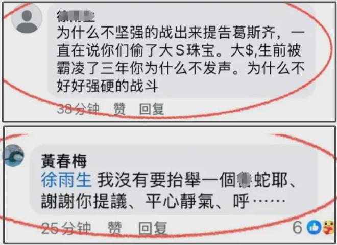 S妈越来越过分！未来遗产不给大S孩子，还要求汪小菲卖车给钱