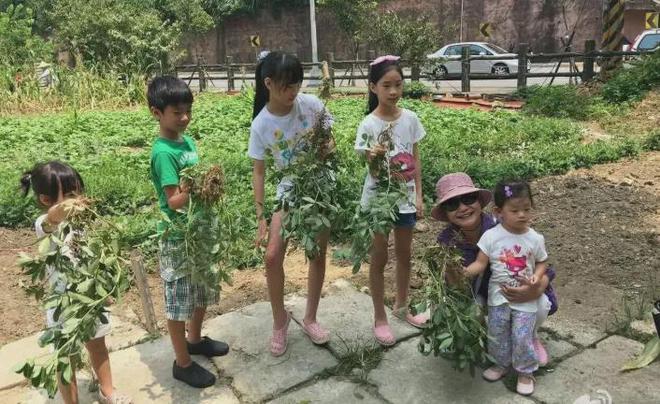 S妈越来越过分！未来遗产不给大S孩子，还要求汪小菲卖车给钱