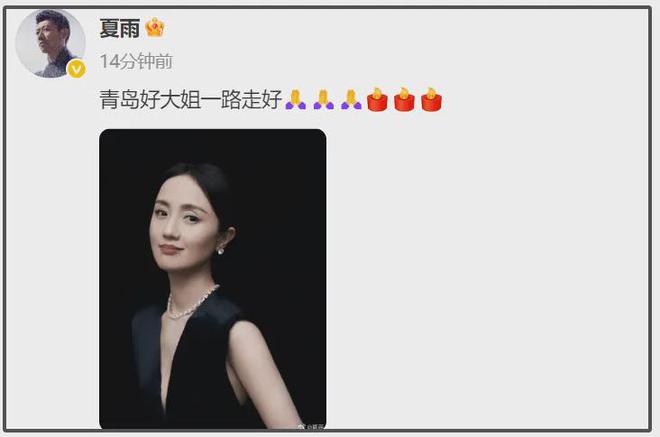 众星悼念朱媛媛！姚晨深受冲击不敢相信，马伊琍悲痛，姚晨怀念