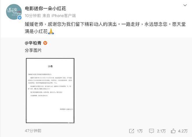 众星悼念朱媛媛！姚晨深受冲击不敢相信，马伊琍悲痛，姚晨怀念