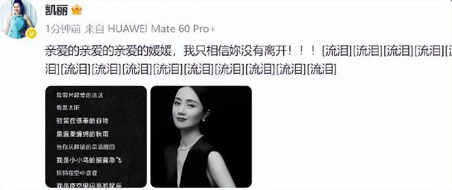 田沁鑫称朱媛媛最后一次通话咳得很厉害，遗体已经火化完毕