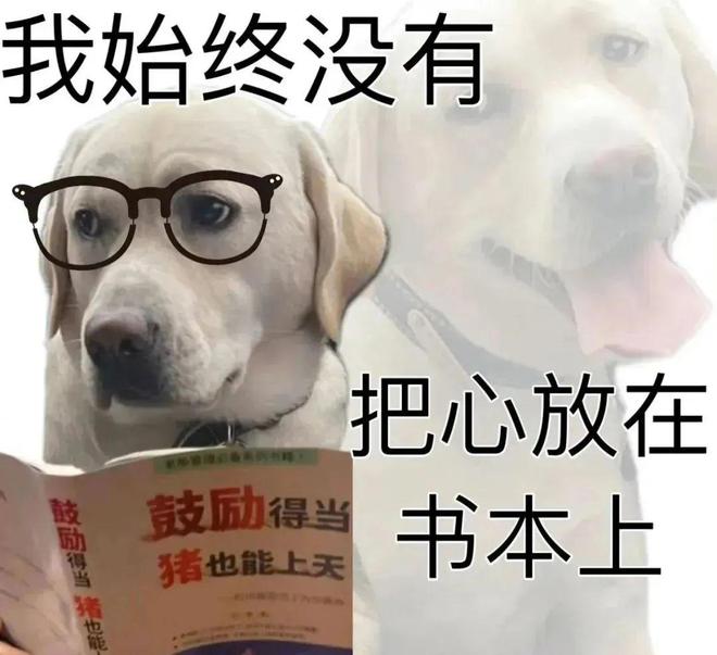 E句话 | 面目全非的飞儿乐团，粉丝能接受吗？