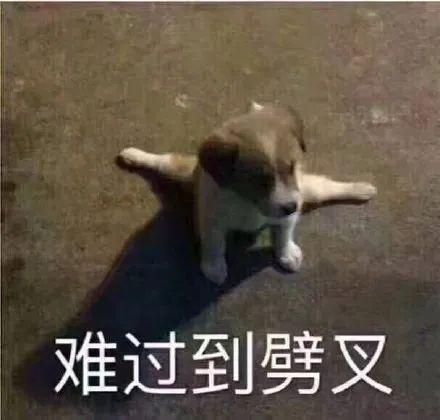 E句话 | 面目全非的飞儿乐团，粉丝能接受吗？