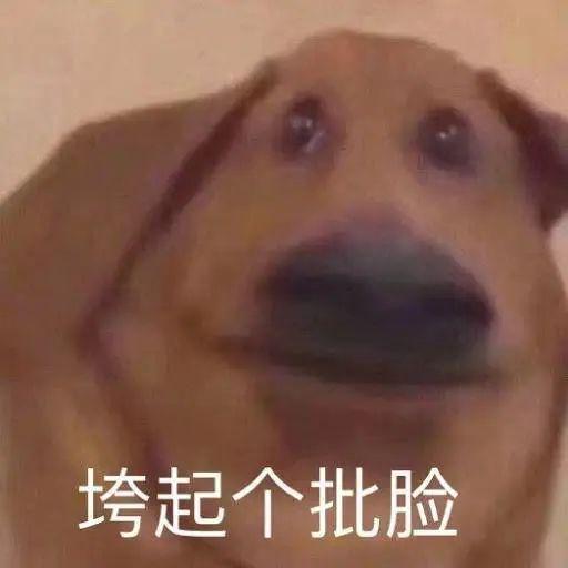 E句话 | 面目全非的飞儿乐团，粉丝能接受吗？