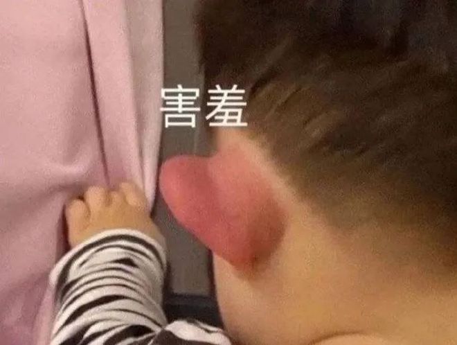E句话 | 面目全非的飞儿乐团，粉丝能接受吗？