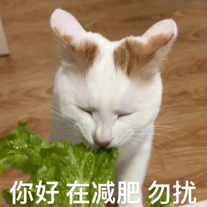 不是...44岁的潘玮柏怎么变成这样了，真是越扒越有...