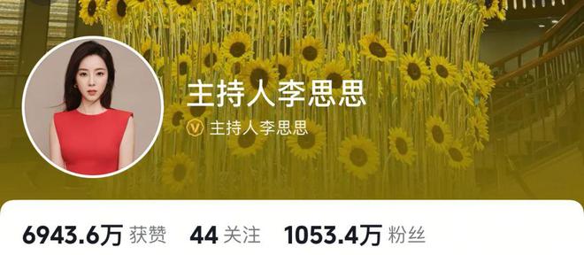 人物||离开央视的女主播们