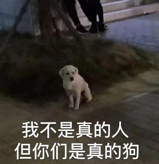 E句话 | 这么优秀的女性，也躲不过被催婚？
