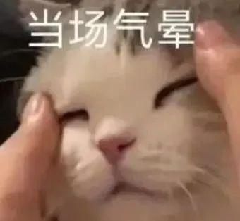 E句话 | 女演员的灵气会被短剧消耗吗？