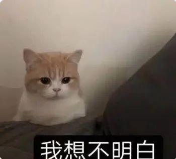 E句话 | 女演员的灵气会被短剧消耗吗？