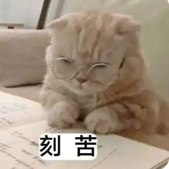 E句话 | 女演员的灵气会被短剧消耗吗？