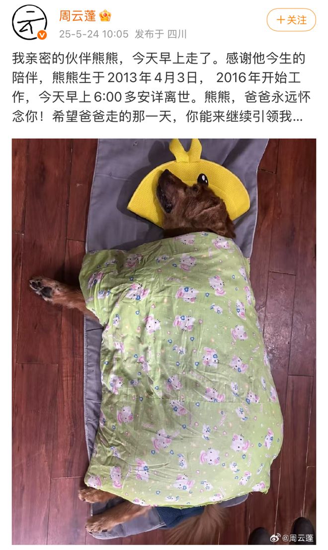 周云蓬和导盲犬熊熊：再见熊熊，你是永远的乡愁