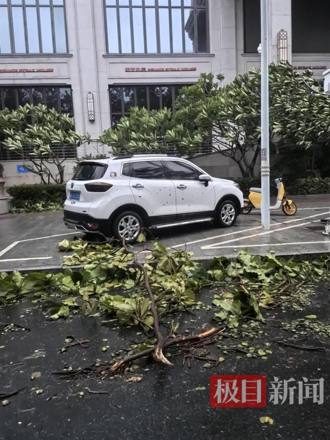 直击台风“蝴蝶”登陆时的三亚：树被吹断 风雨肆虐现场