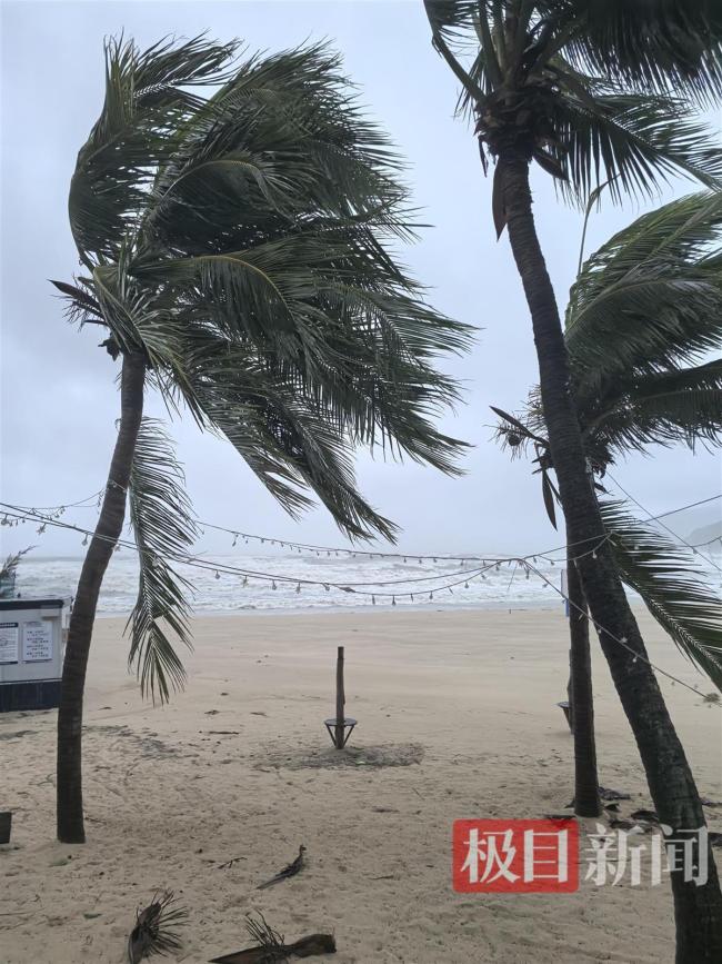 直击台风“蝴蝶”登陆时的三亚：树被吹断 风雨肆虐现场